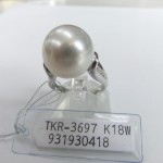 TKR-3697