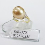 TKR-3701