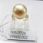 TKR-3728