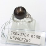 TKR-3788