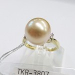 TKR-3807