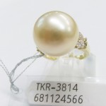 TKR-3814