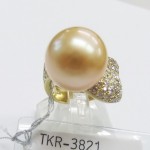 TKR-3821