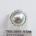 TKR-3895