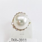 TKR-3911(1)