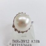 TKR-3912(1)