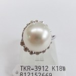 TKR-3912(1)