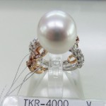 TKR-4000