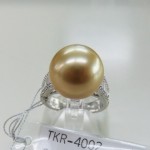 TKR-4002
