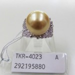 TKR-4023