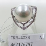 TKR-4024