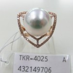 TKR-4025