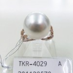 TKR-4029