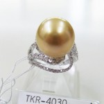 TKR-4030