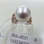 TKR-4031