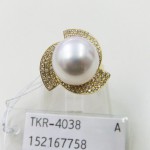 TKR-4038