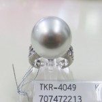 TKR-4049