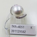 TKR-4051