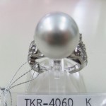 TKR-4060