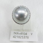 TKR-4104
