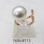 TKR-4113